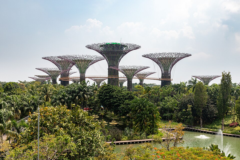 Gardens by the Bay Supertree Grove